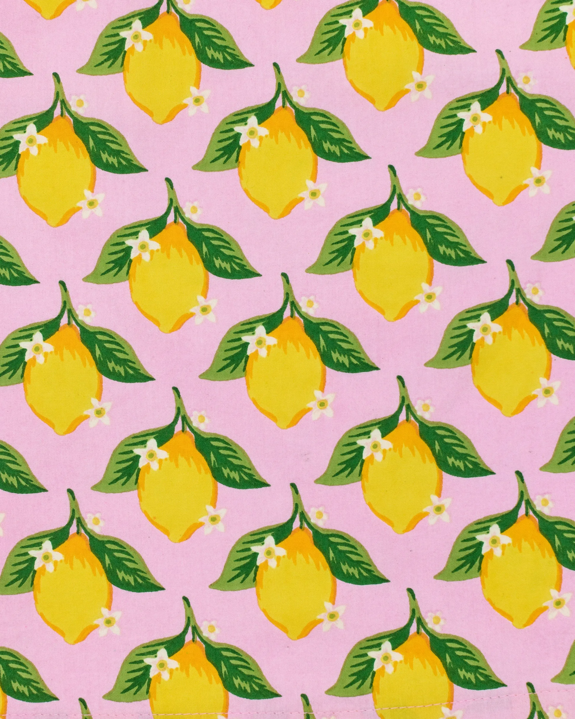Dinner Napkins Set of 4 in Lemon Twist