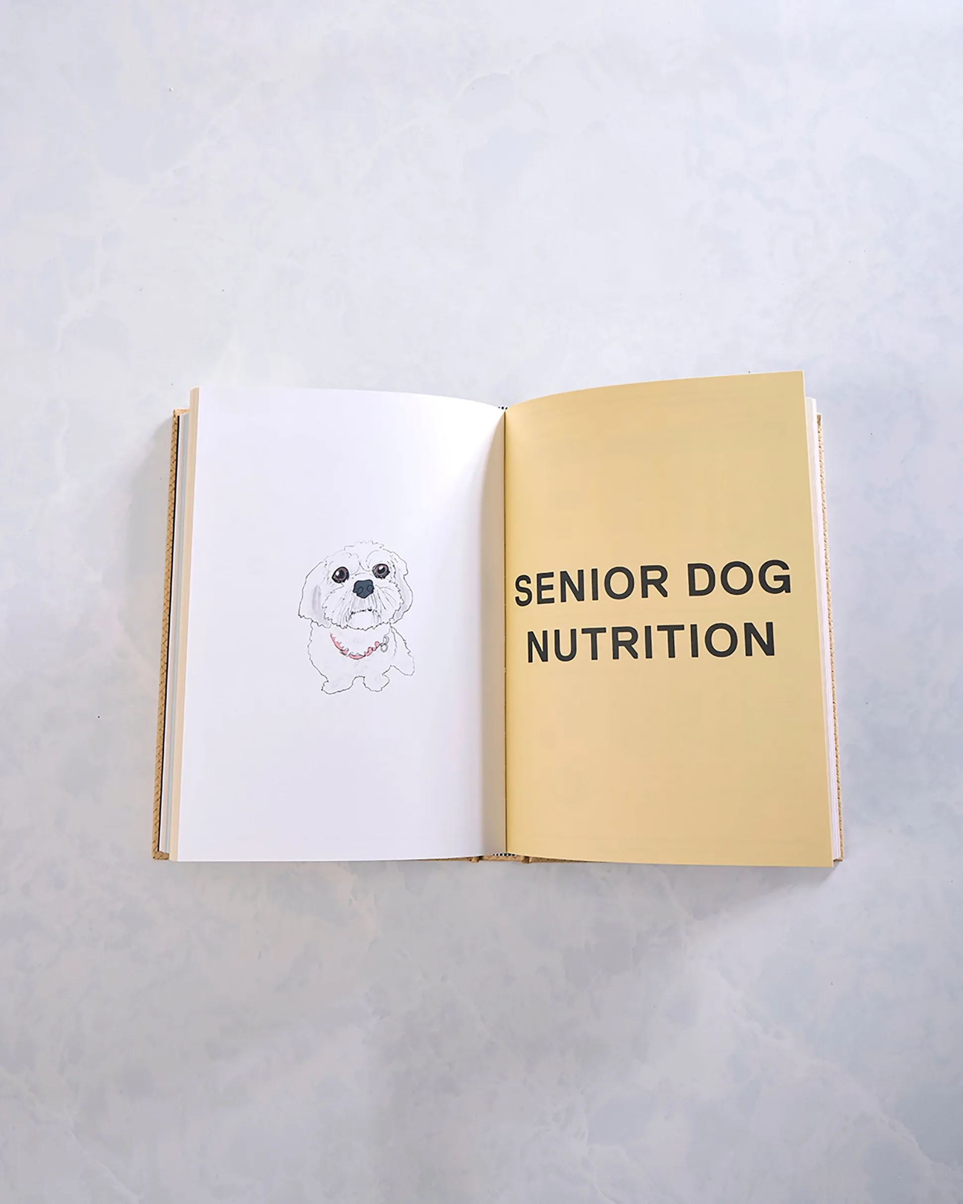 Feed Me: 50 Home Cooked Meals For Your Dog in Honey Gold