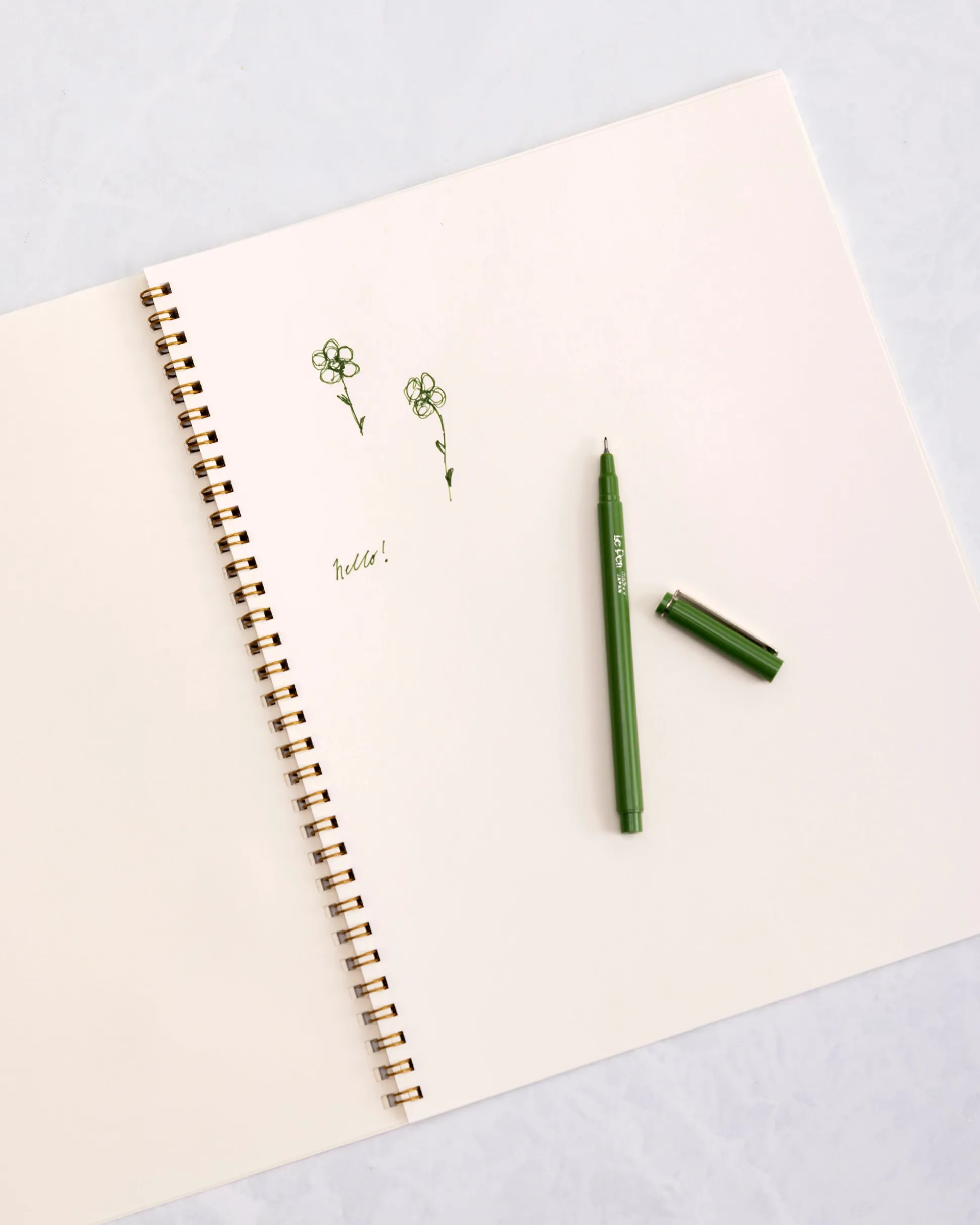 French Storybook Notebooks in Pink and Blue