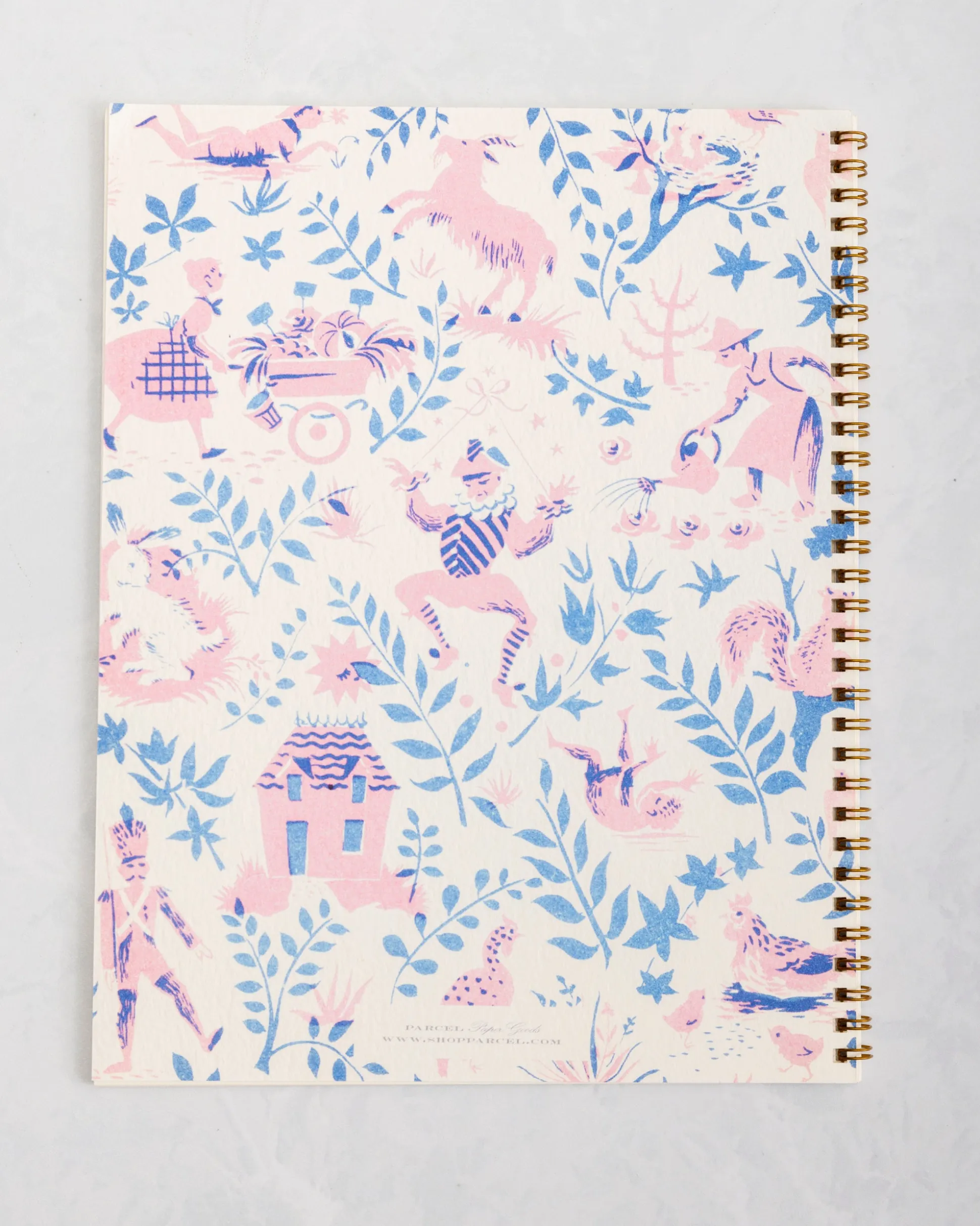 French Storybook Notebooks in Pink and Blue
