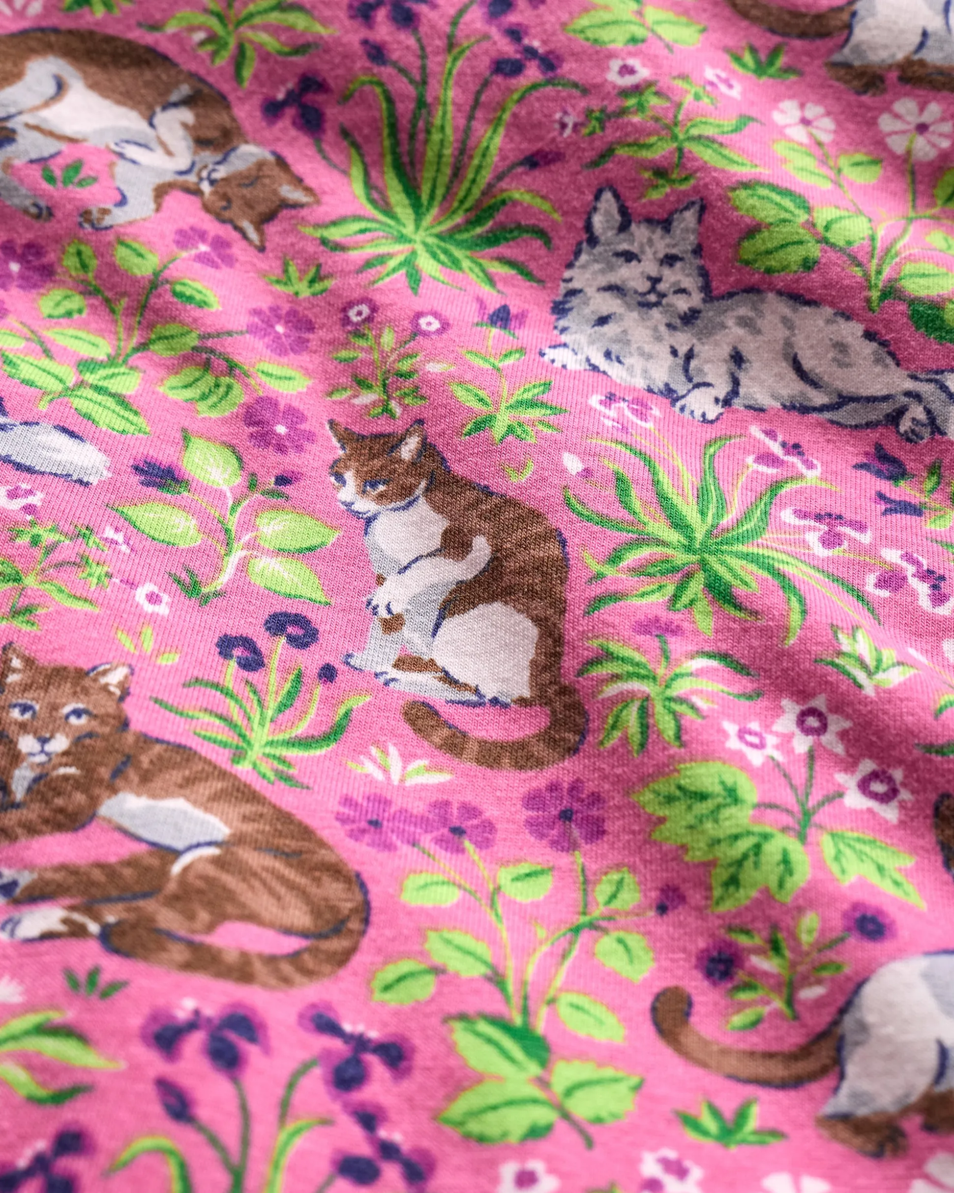 Organic Pima Modal Knit Long PJ Set in Must Love Cats