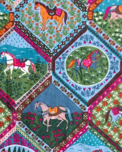 Robe in High Horse